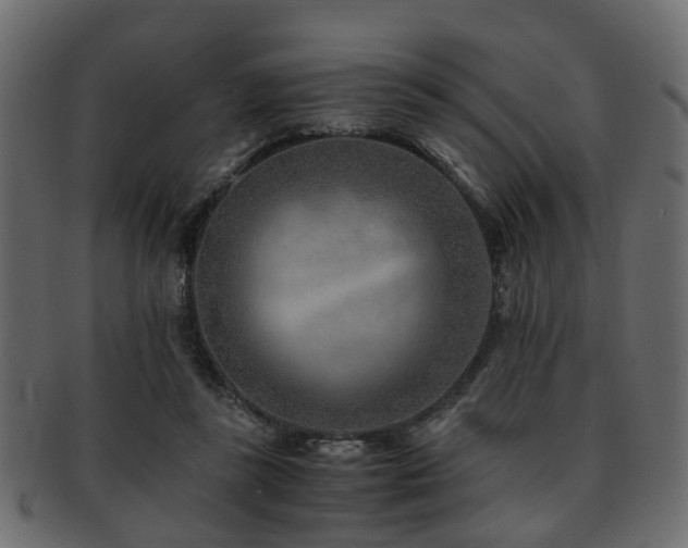 X0000093100355200709261235