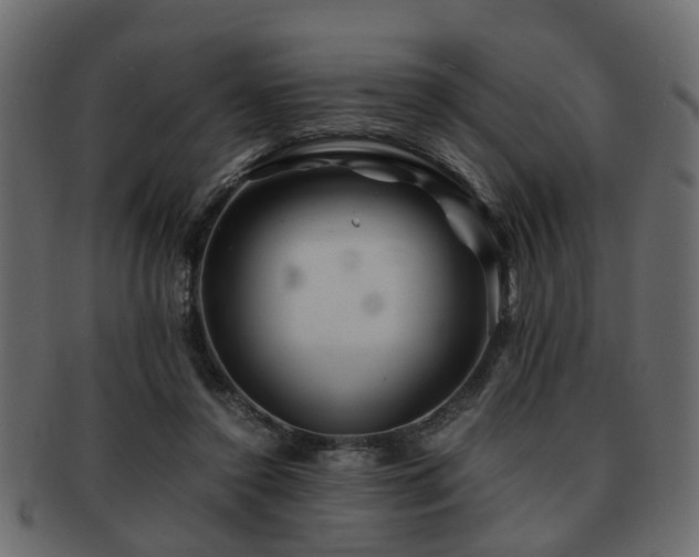 X0000093100356200709261235