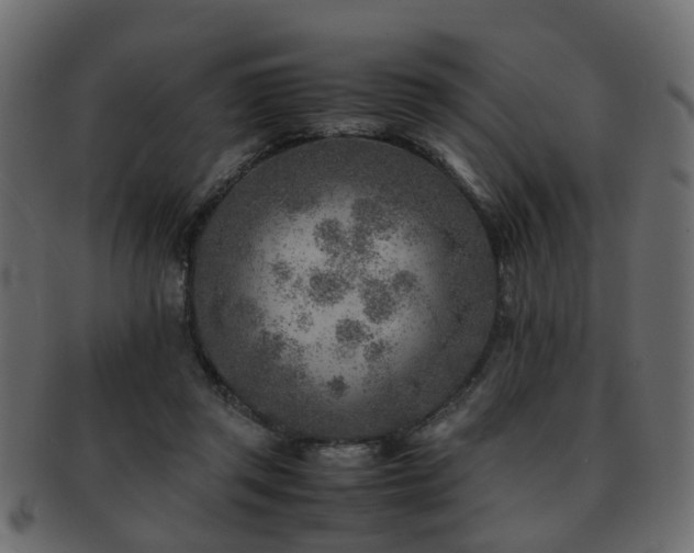 X0000093100357200709261235