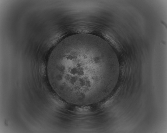 X0000093100359200709261235