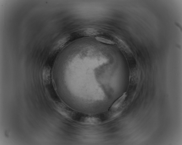 X0000093100360200709261235