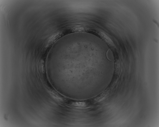 X0000093100361200709261235