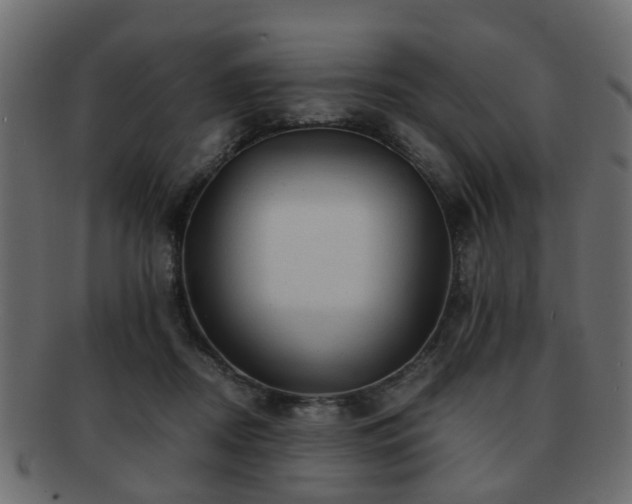 X0000093100362200709261235