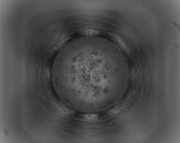 X0000093100363200709261235