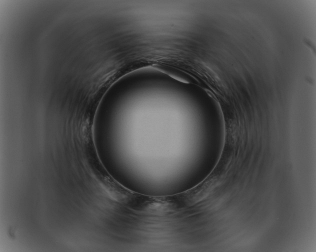 X0000093100364200709261235