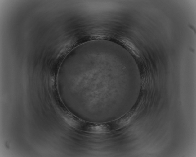 X0000093100365200709261235