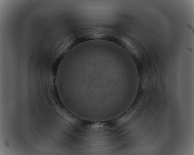 X0000093100366200709261235