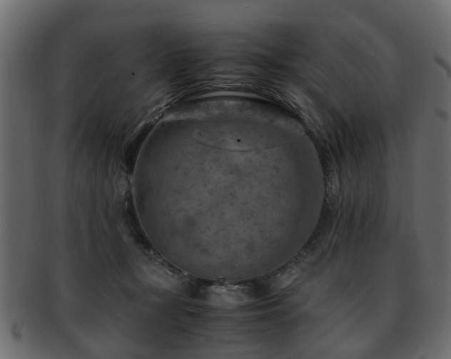X0000093100367200709261235