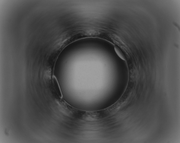 X0000093100368200709261235