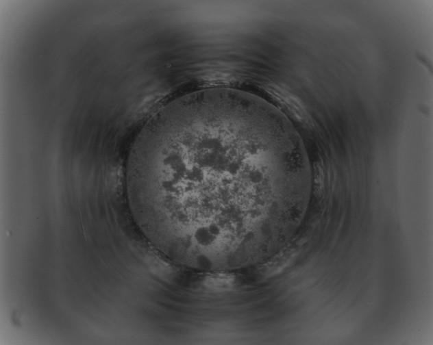 X0000093100369200709261235
