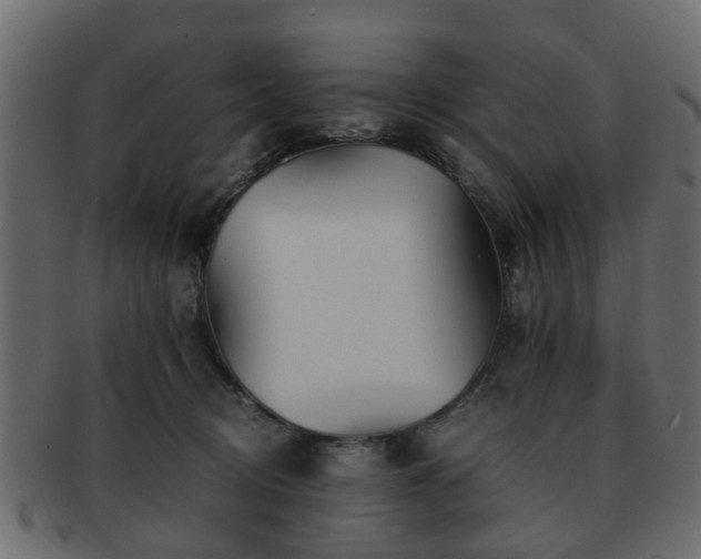 X0000093100370200709261235