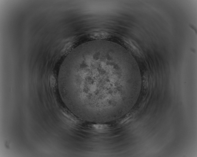 X0000093100371200709261235