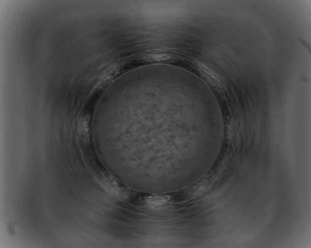 X0000093100373200709261235