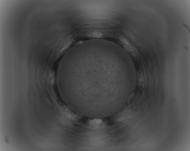 X0000093100374200709261235