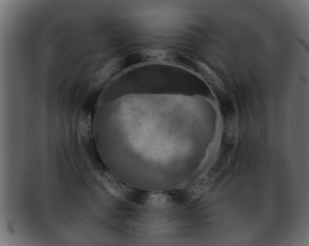 X0000093100376200709261235
