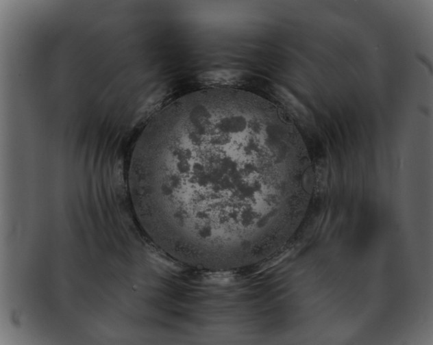 X0000093100377200709261235