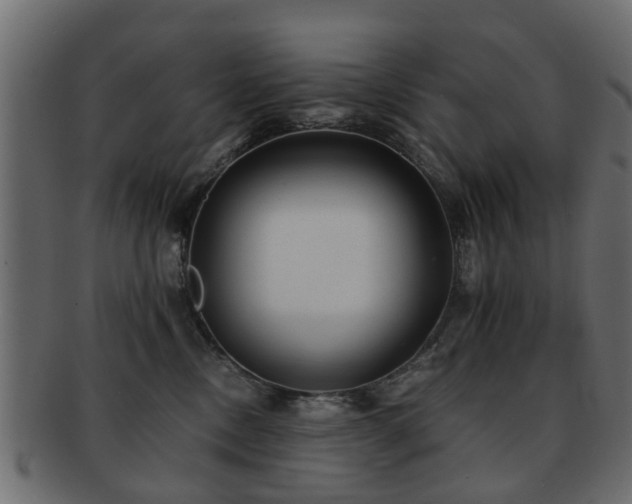 X0000093100378200709261235
