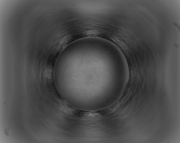 X0000093100379200709261235