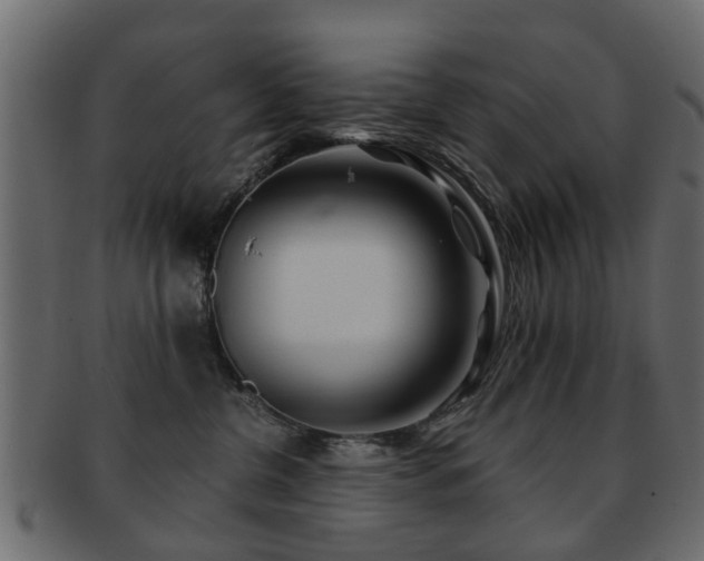 X0000093100380200709261235