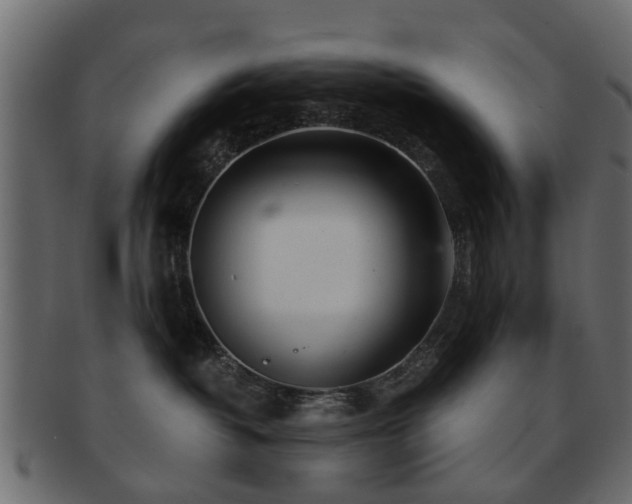 X0000093100382200709261235