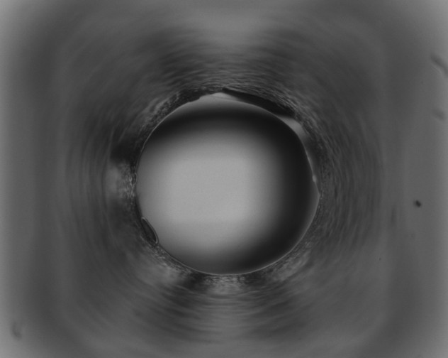X0000093100384200709261235