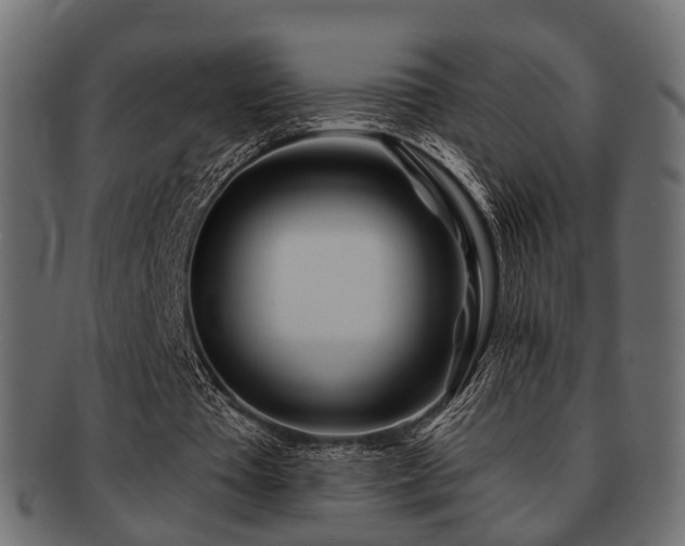 X0000093100385200709261235