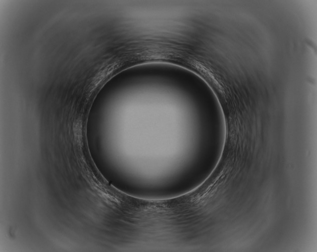 X0000093100386200709261235