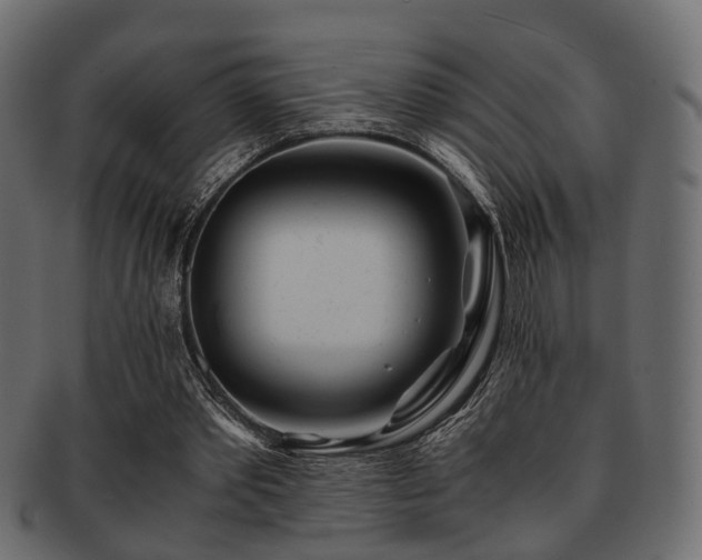 X0000093100389200709261235