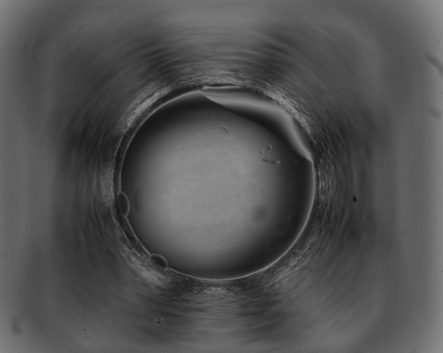 X0000093100390200709261235