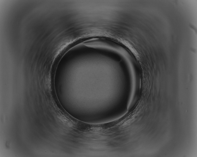 X0000093100391200709261235