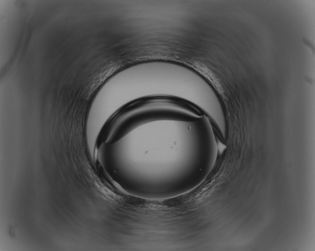 X0000093100393200709261235