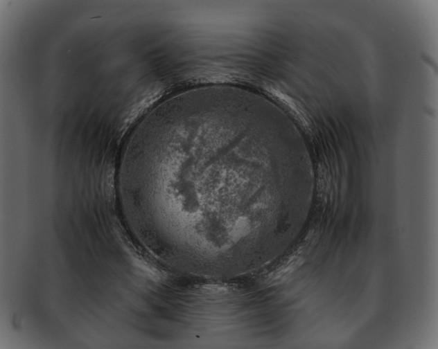 X0000093100394200709261235