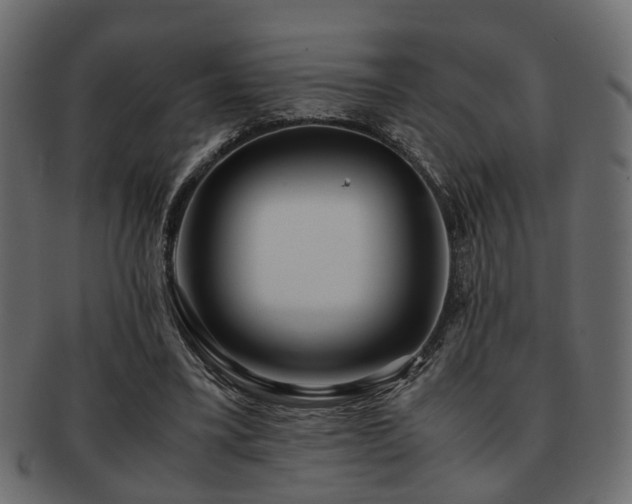 X0000093100395200709261235