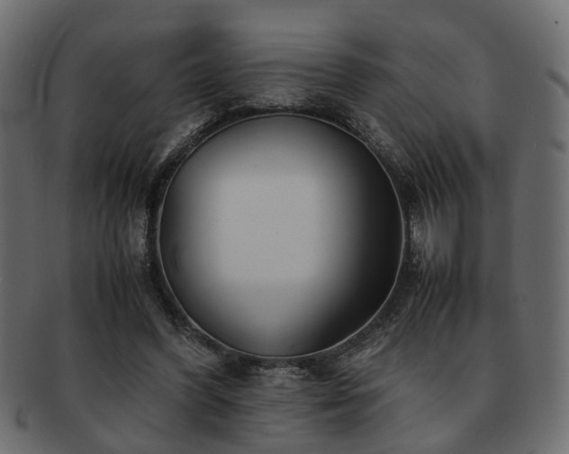X0000093100396200709261235