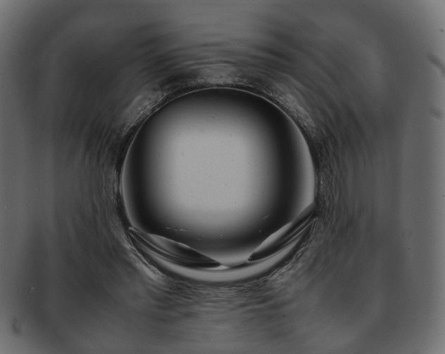 X0000093100397200709261235