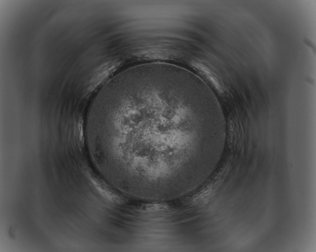 X0000093100398200709261235