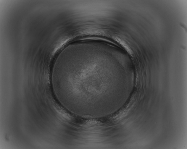 X0000093100399200709261235