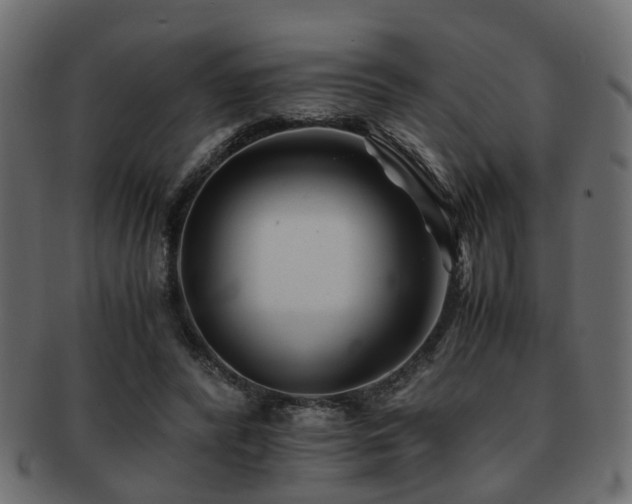 X0000093100400200709261234