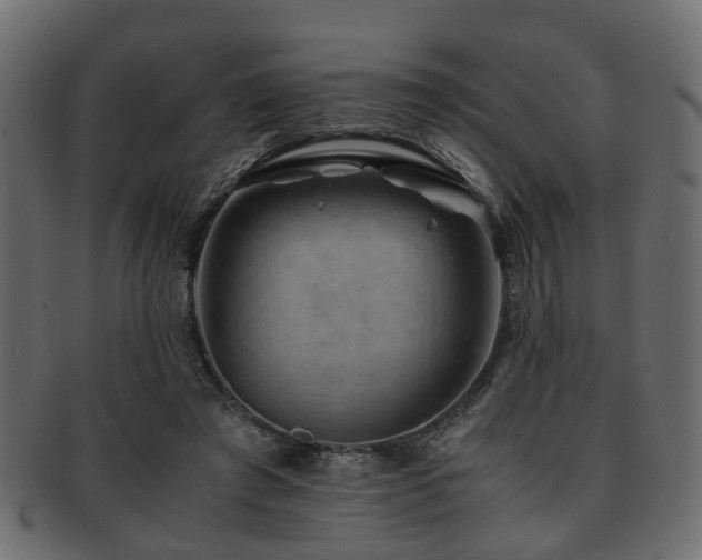 X0000093100401200709261234