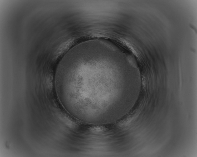 X0000093100402200709261234