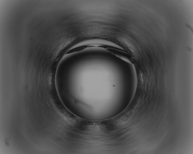 X0000093100404200709261234