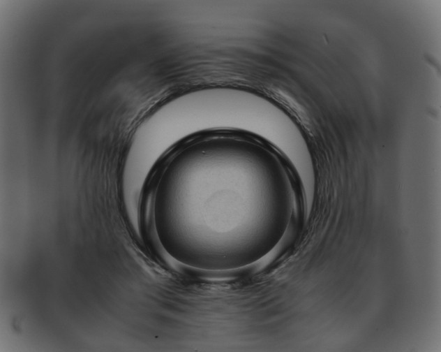 X0000093100405200709261234