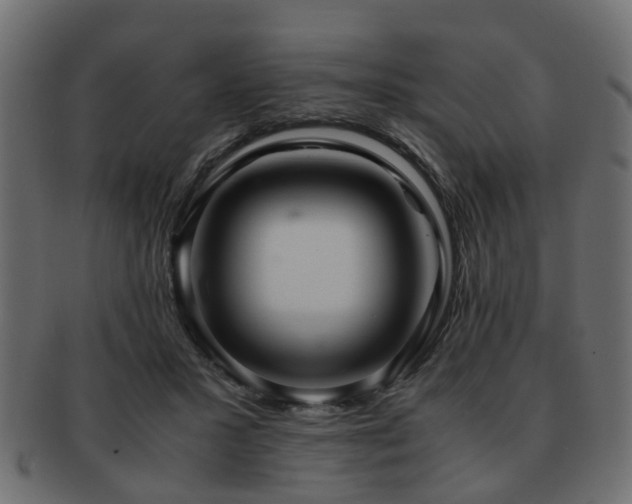 X0000093100407200709261234