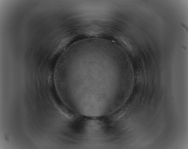 X0000093100408200709261234