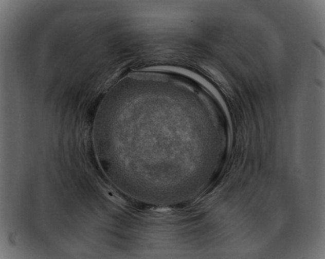 X0000093100409200709261234