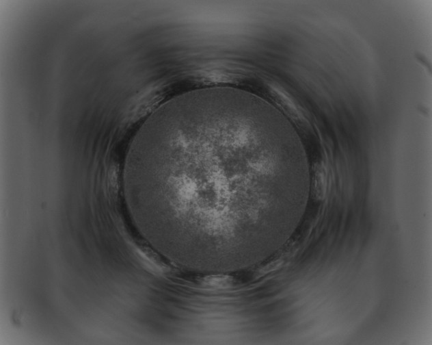 X0000093100410200709261234
