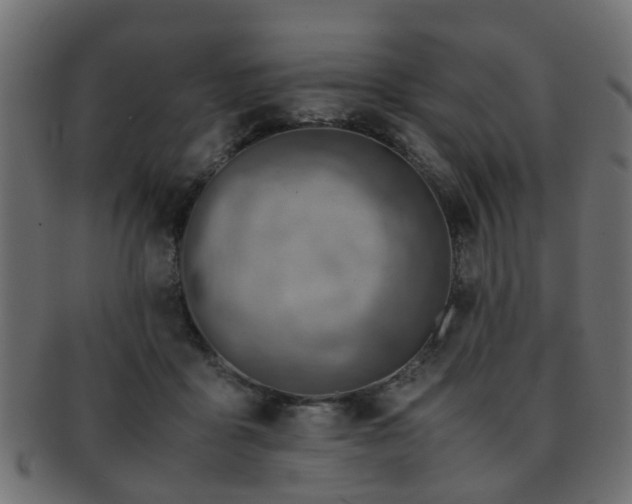 X0000093100411200709261234