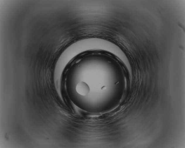 X0000093100412200709261234