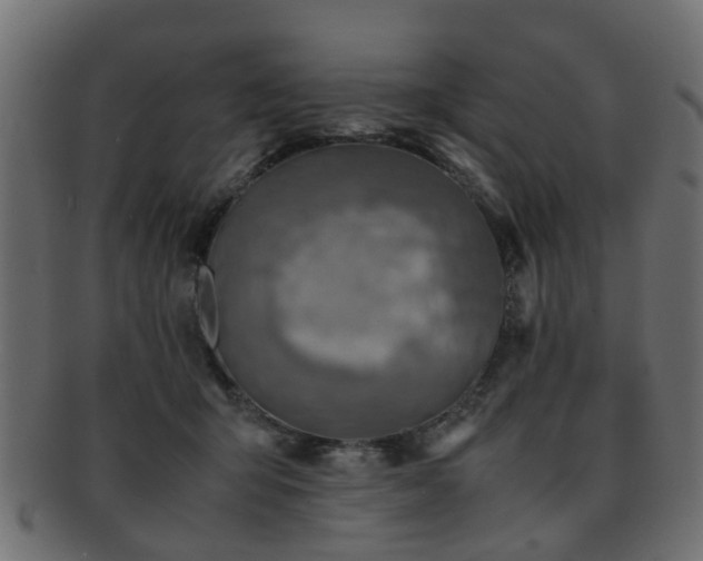 X0000093100415200709261234