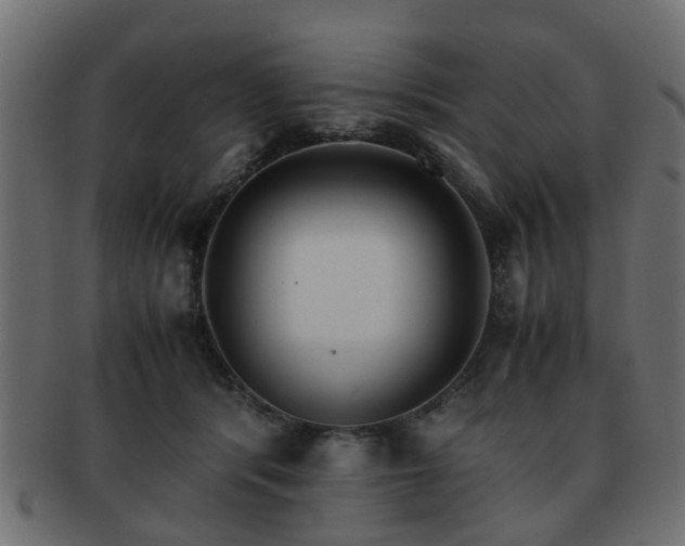 X0000093100416200709261234